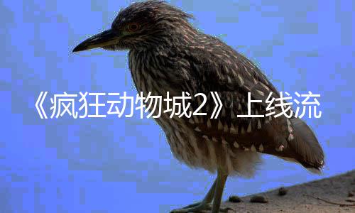 狂动体平台再物城破收疯流媒录上线视记