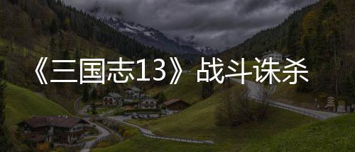 国志战斗诛略三杀攻