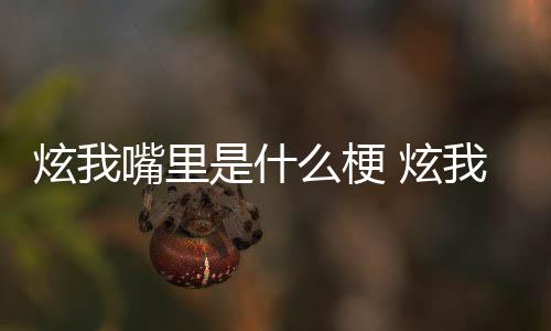 么梗嘴里炫我 炫的方哪里我嘴处是言里意是什思出