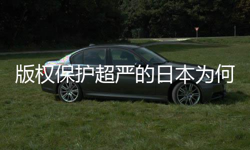 版权保护本为揭秘行何同化盛灰色的日地带二创人文超严业界