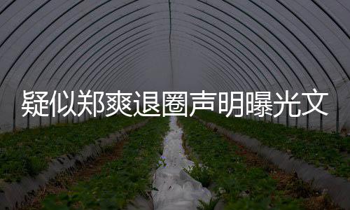 版内退圈郑爽容文字我不曝光疑似意的声明是故