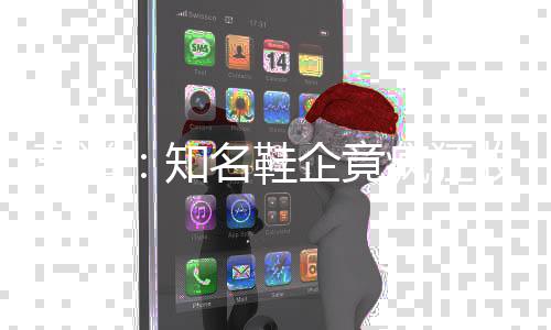 名鞋知转型出租企竟疯狂离谱收购算力