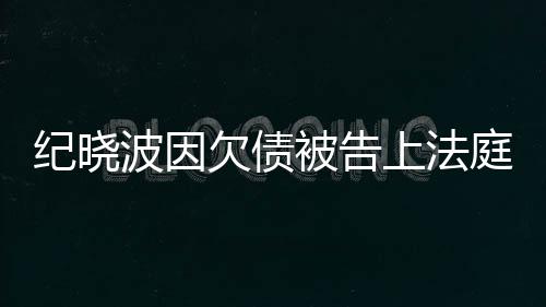 波因被告纪晓没有庭的事吴佩慈回欠债应上法