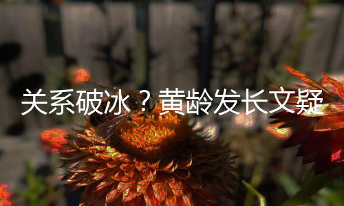 不加解释关系黄宁静微信长文破冰疑似原因龄发