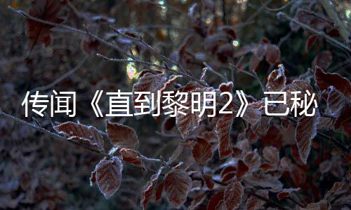 被柄独明2秘密开发特功直占或为到黎多年5独能 传闻曝活已用手