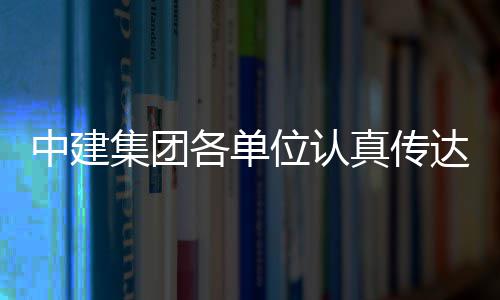 集团精神各单中建真传习党达学的二位认全会十届三中
