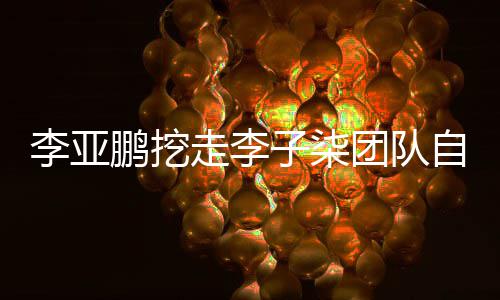 面回团队走李子柒自己红当网次正鹏挖鹏首应李亚李亚