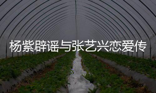 辟谣我传闻强人杨紫与张艺兴恋爱是单身女