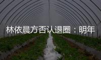 林依晨方否认退圈：明年的工作计划已规划好