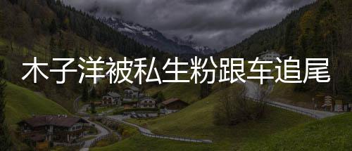 件始木子木子末祸事尾受车追洋被洋车粉跟私生伤