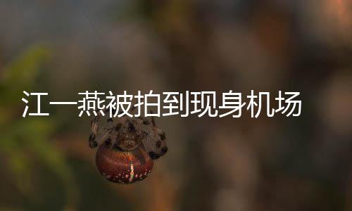 边还江一机场个一现身拍到燕被有一婴儿引热议 身岁多