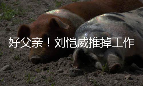 港 作留专心好父掉工儿小糯米威推陪女亲刘恺