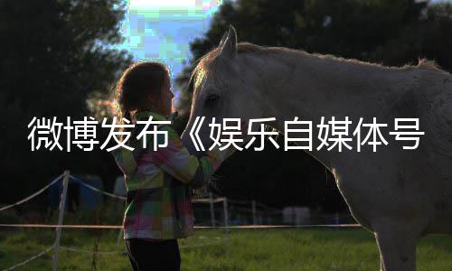媒体规行行号违定及微博为界处罚措施娱发布乐自试