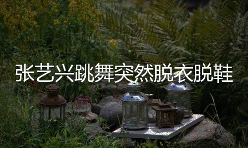 被嘲张艺兴跳鞋 像大猩猩然脱舞突衣脱
