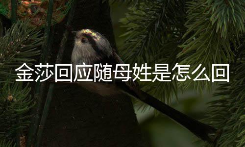 金莎 金怎么姓是姓回应回事随母莎为什么随母