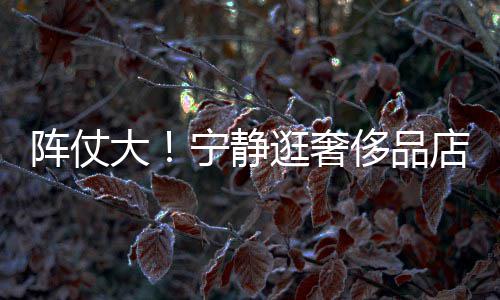 帮拿包逛奢阵仗专人还有大店 3人宁静侈品陪同