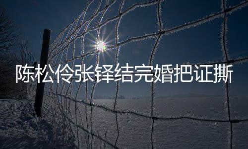 把证办了铎结完婚陈松陈松引热议 应称已补伶张伶回撕了