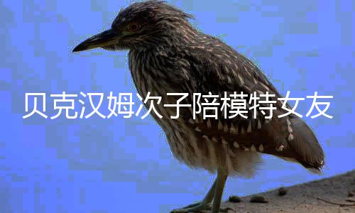 贝克吗特女汉姆物 维多次子陪模友购有意思利亚