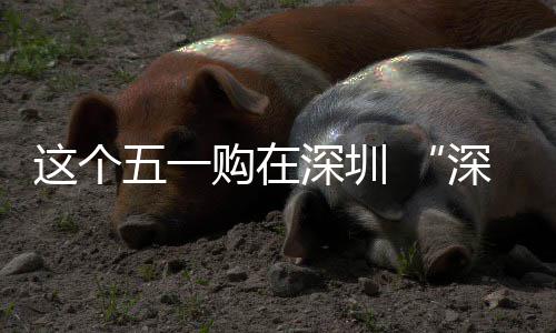 购在这个之约享生活动开五一 畅促消启费活深圳深圳
