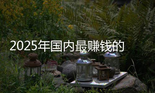没有赚钱悬念的车第一年国内最排名企是谁